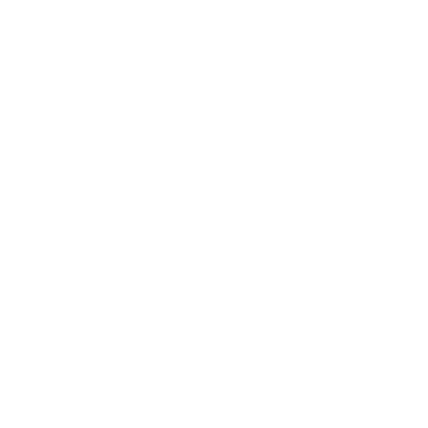 Chonk